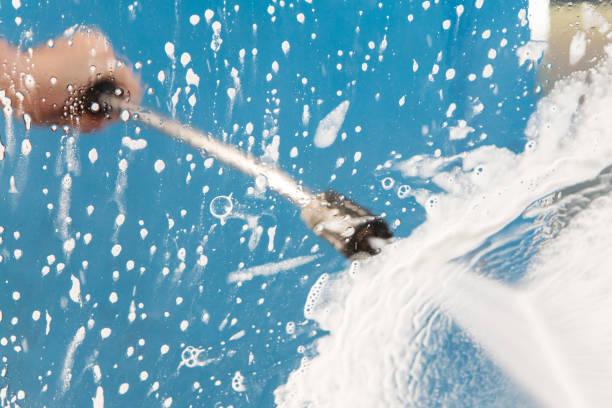 Best Animal Enclosure Cleaning  in June Park, FL
