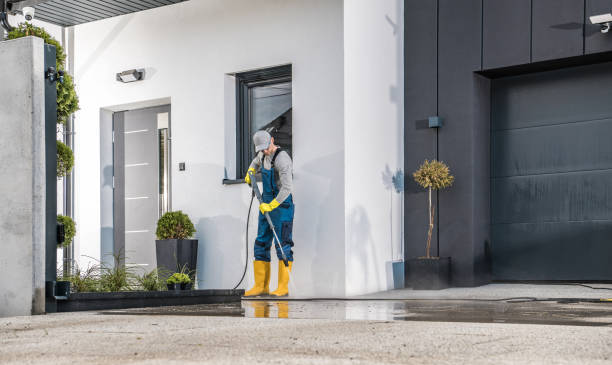 Best Solar Panel Cleaning  in June Park, FL